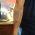 DSC03466.jpg